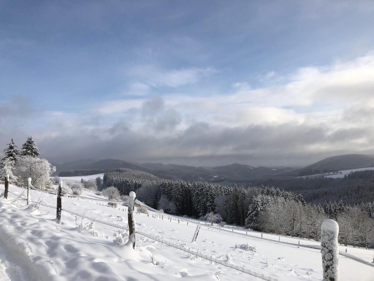 Fennies Huette Villa Medebach Bagian luar foto