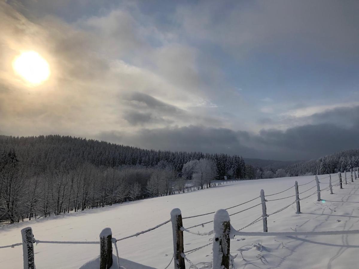 Fennies Huette Villa Medebach Bagian luar foto