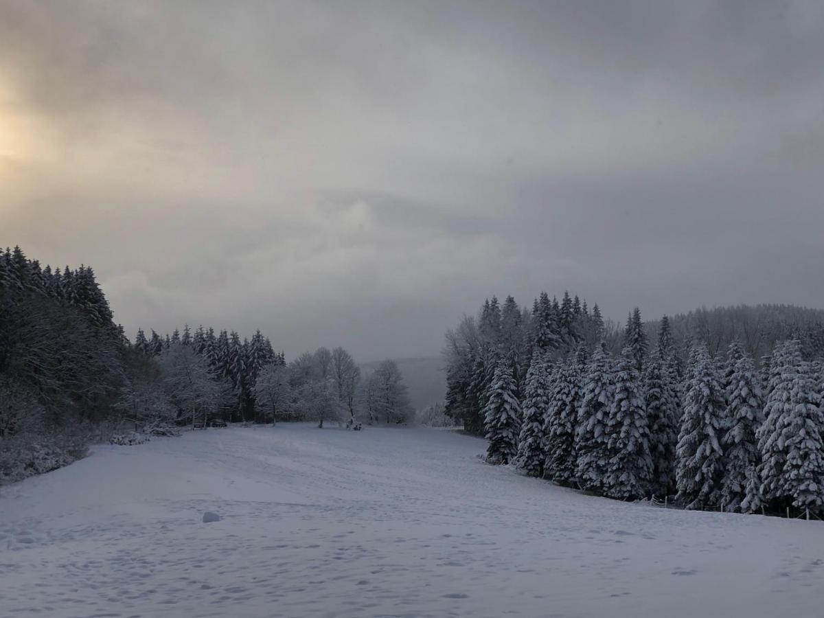 Fennies Huette Villa Medebach Bagian luar foto