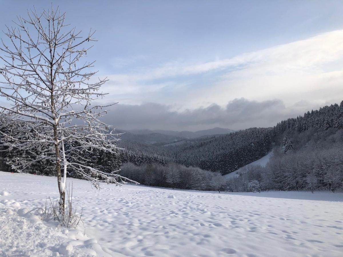 Fennies Huette Villa Medebach Bagian luar foto