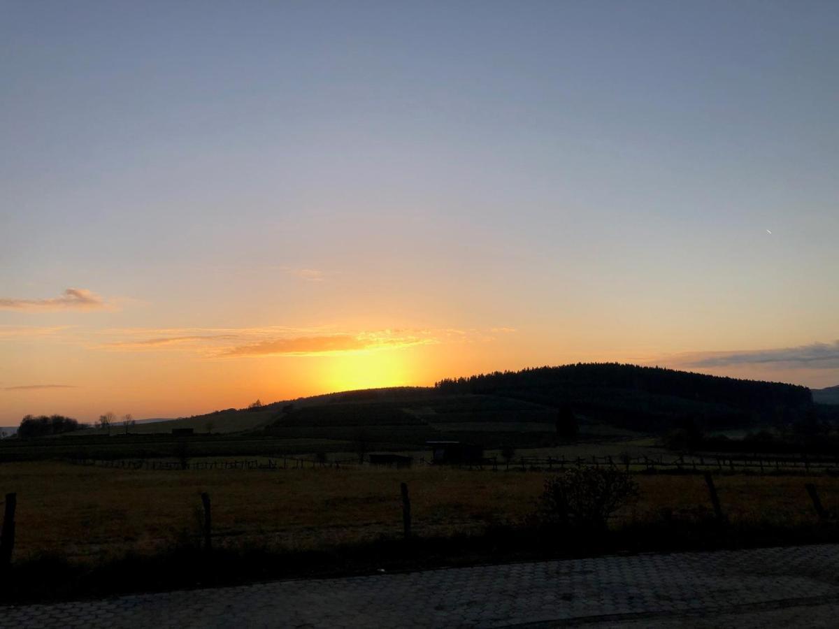 Fennies Huette Villa Medebach Bagian luar foto