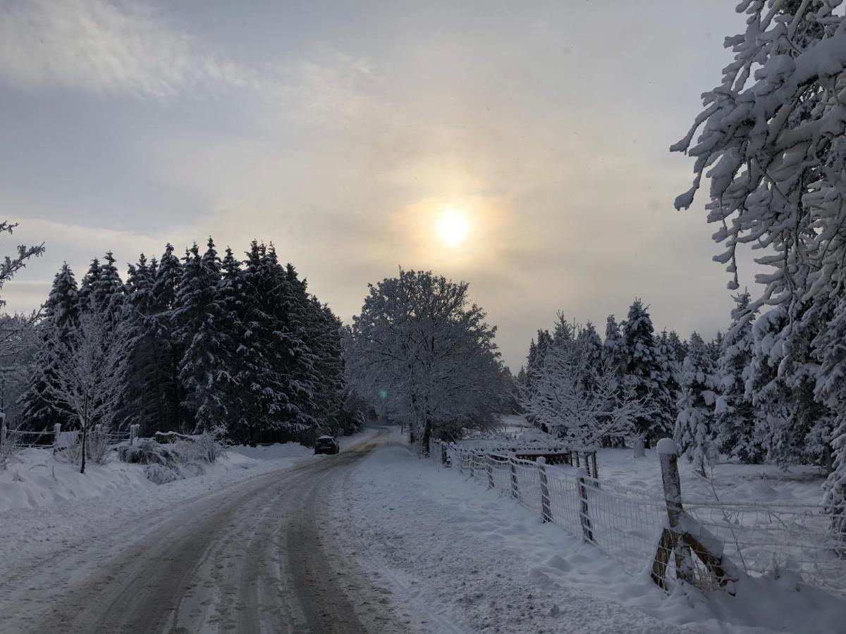 Fennies Huette Villa Medebach Bagian luar foto