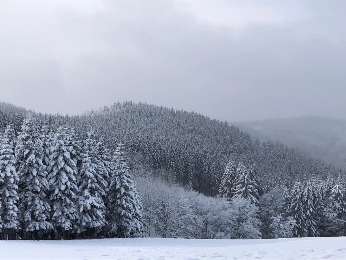 Fennies Huette Villa Medebach Bagian luar foto