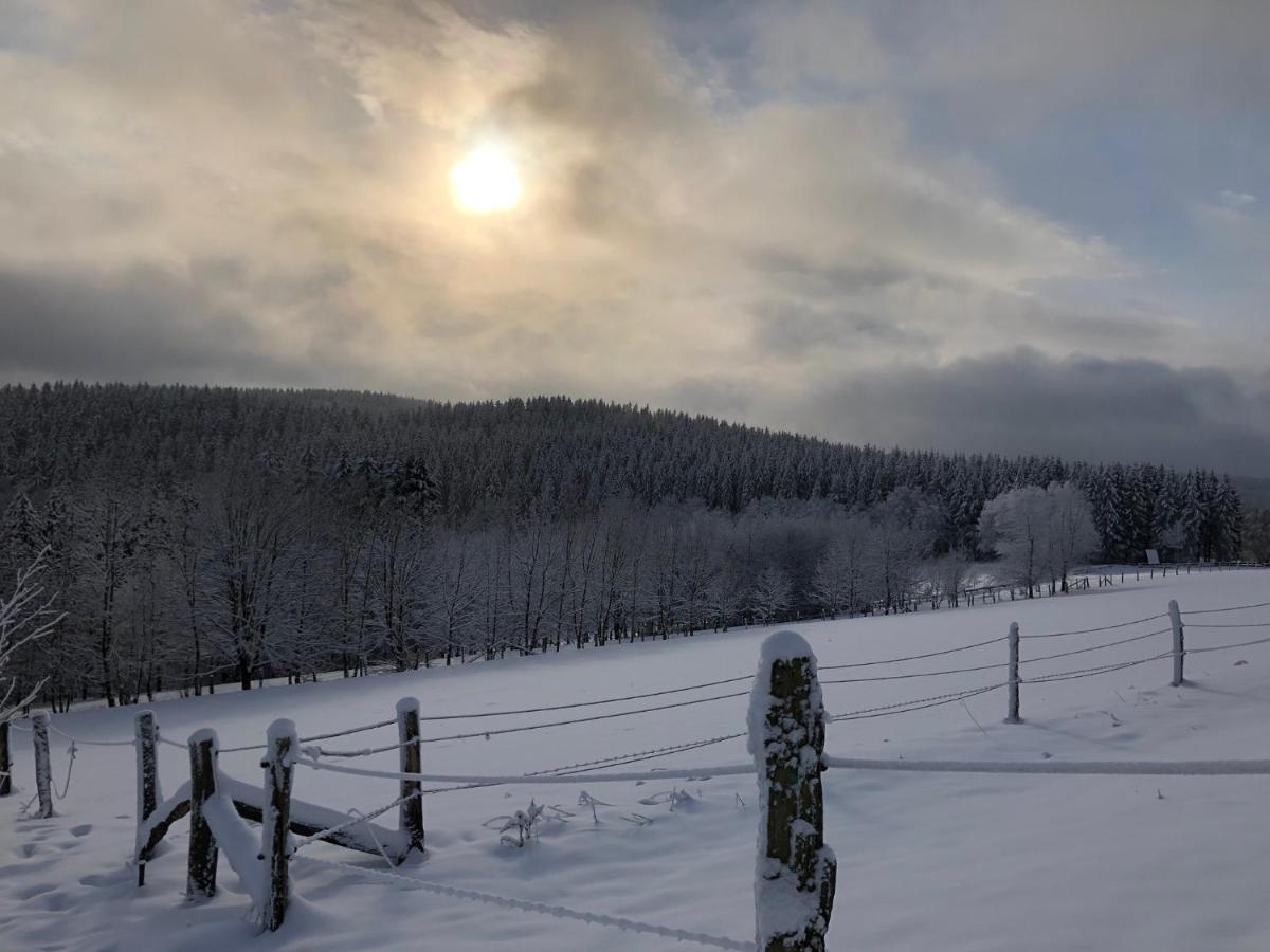 Fennies Huette Villa Medebach Bagian luar foto
