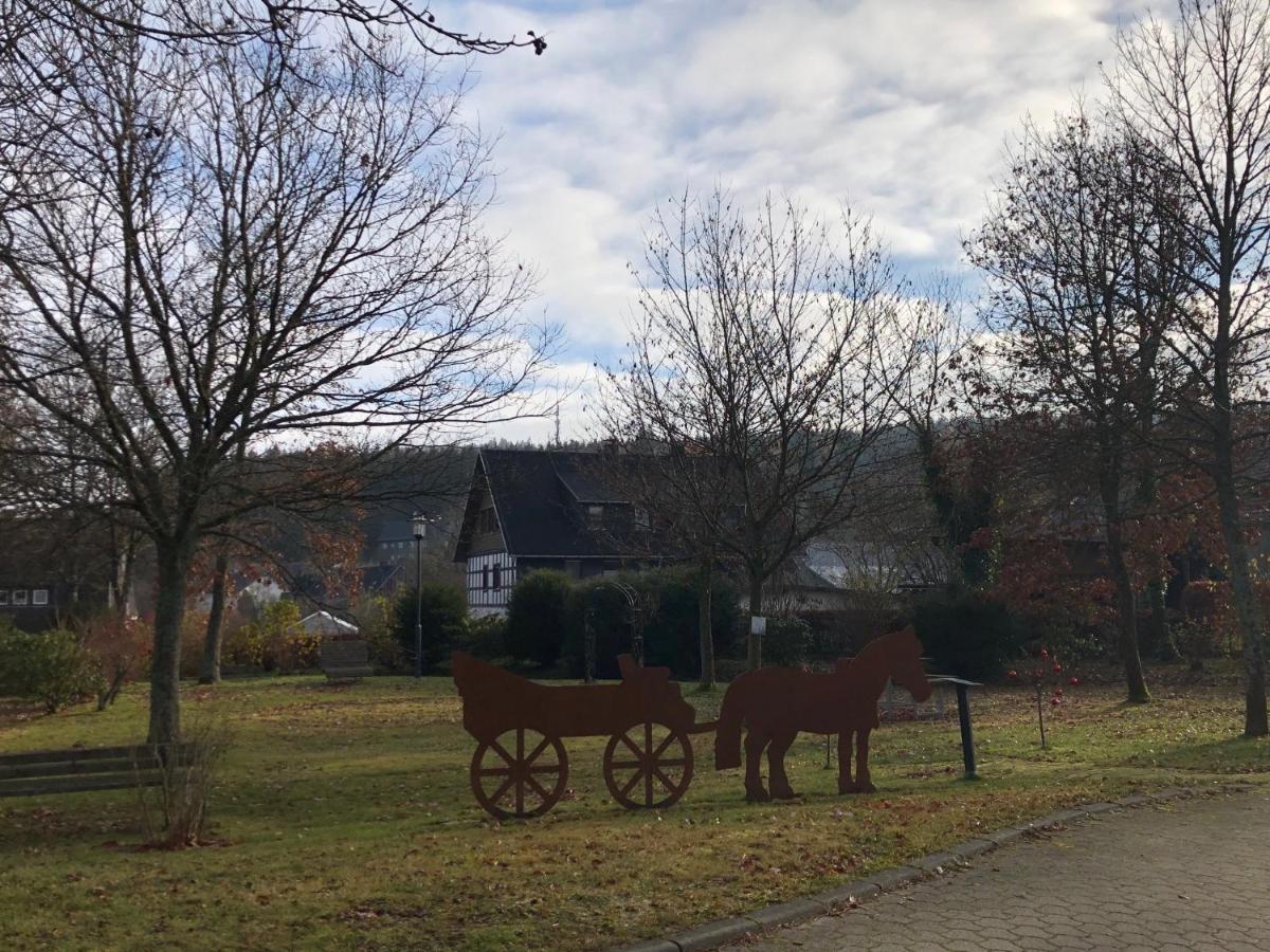 Fennies Huette Villa Medebach Bagian luar foto