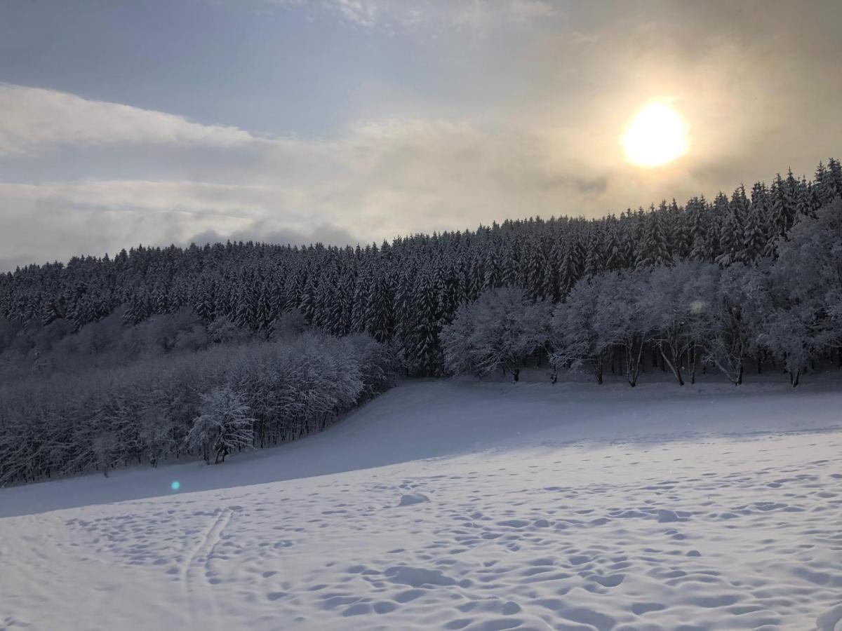 Fennies Huette Villa Medebach Bagian luar foto