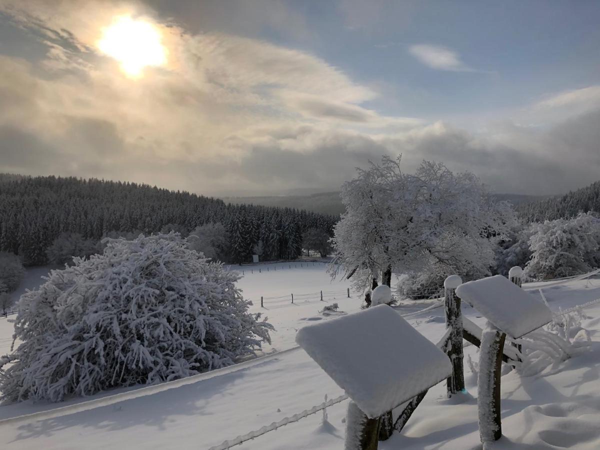 Fennies Huette Villa Medebach Bagian luar foto