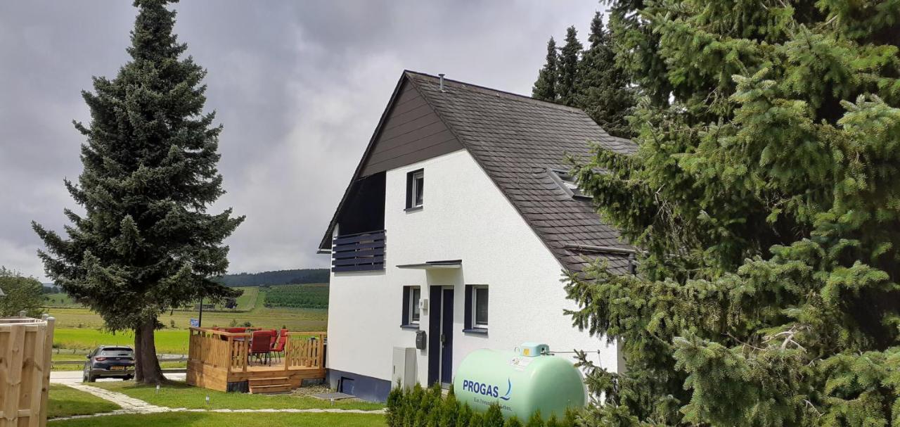 Fennies Huette Villa Medebach Bagian luar foto